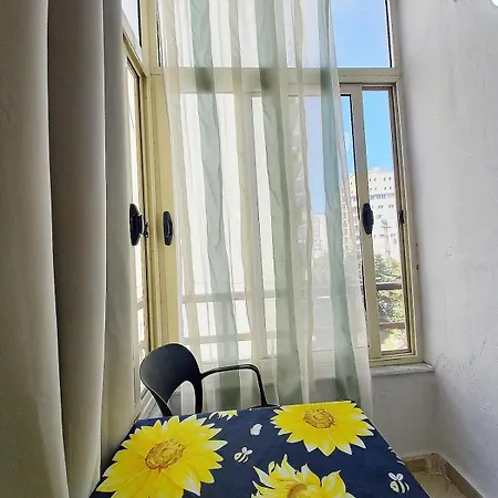 Sunflower * Durrës
