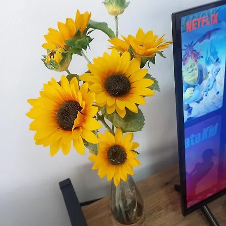 Sunflower Lejlighed *