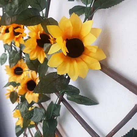 Lejlighed Sunflower *